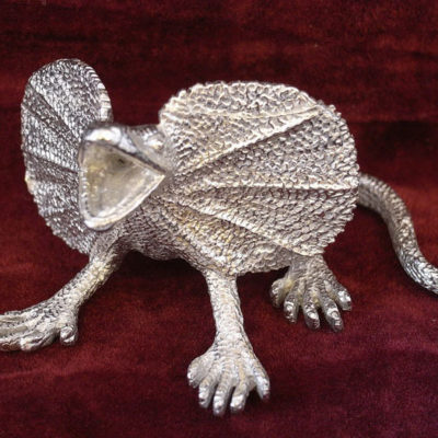 Frill Neck Lizard