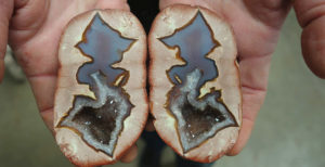 Thunder Eggs Australian Gems