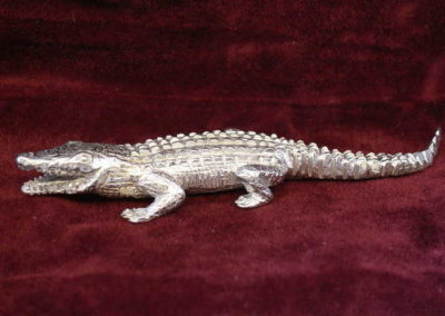 Crocodile