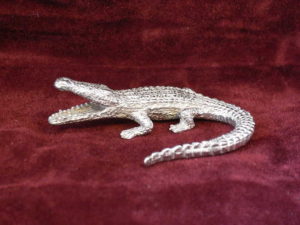 Crocodile mouth open