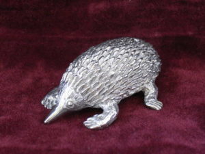 Echidna