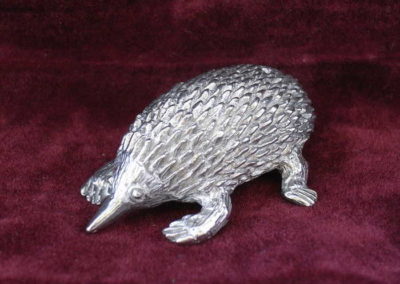 Echidna