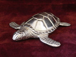Turtle (Green)