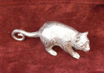 Possum (Ringtail)
