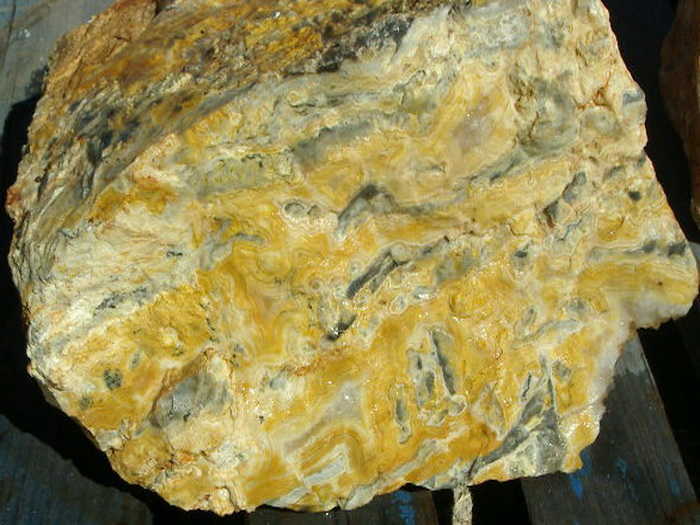 crazy-lace-agate-rough