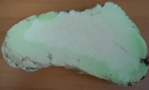 Lemon Chrysoprase - Slice