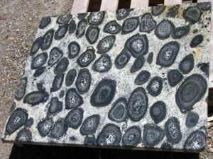 Orbicular Granite