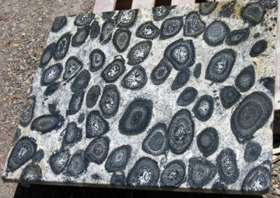 Orbicular Granite