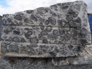 Orbicular Granite