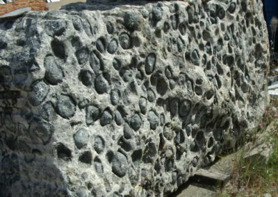 Orbicular Granite