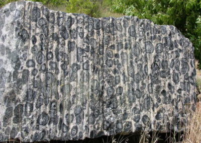 Orbicular Granite
