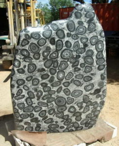 Orbicular Granite