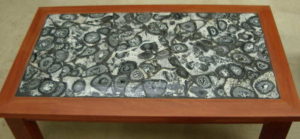 Orbicular Granite