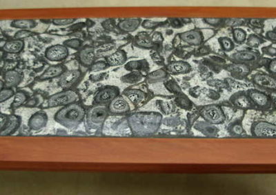 Orbicular Granite