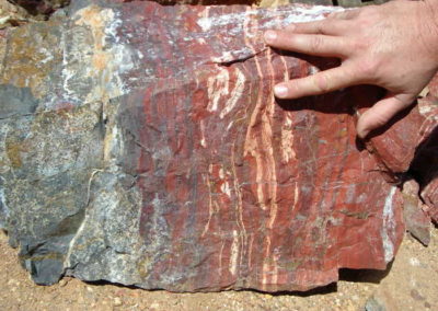 Snakeskin Jasper