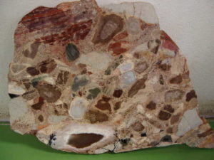 Brown Conglomerate - Polished Slice