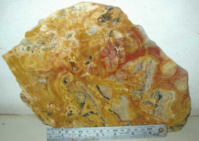 Gold with red slice