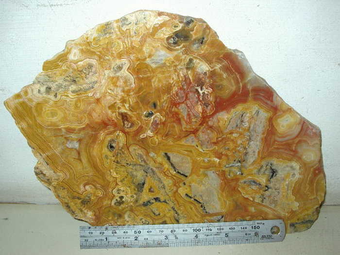 Gold with red slice