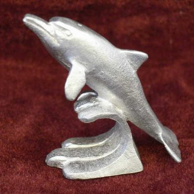 Dolphin Surfing
