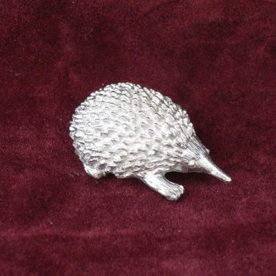Echidna