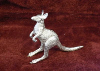 Kangaroo Rearing