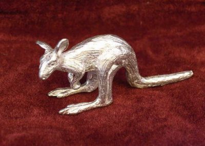 Kangaroo Crouching