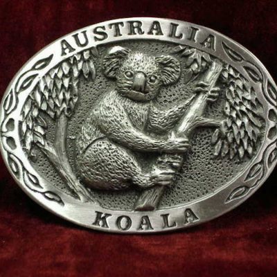 Large Koala