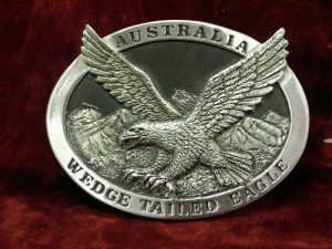 Large Wedgetail Eagle