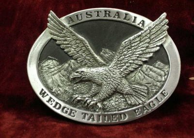 Large Wedgetail Eagle