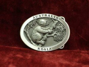 Small Koala