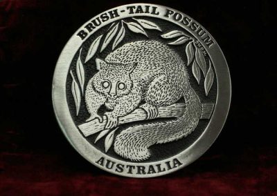 Brush tail Possum