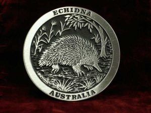 Echidna