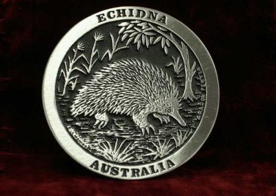 Echidna