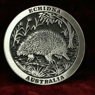 Echidna