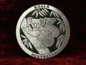 Koala