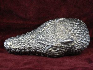 Crocodile Head