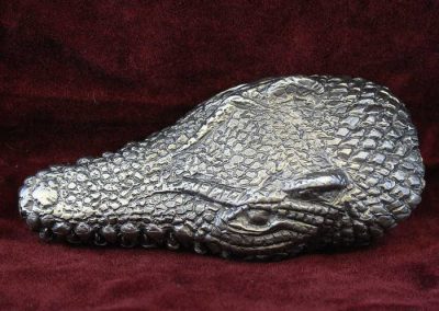 Crocodile Head