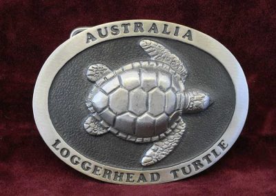 Loggerhead Turtle Lg