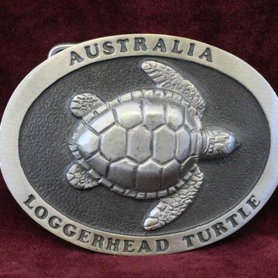 Loggerhead Turtle Lg