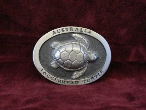 Loggerhead Turtle Sm