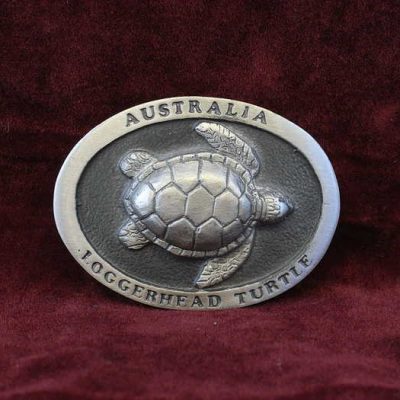 Loggerhead Turtle Sm