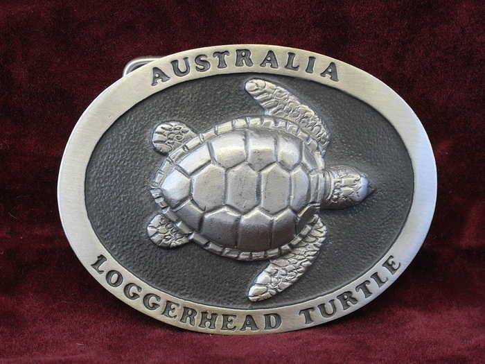 Loggerhead Turtle Lg